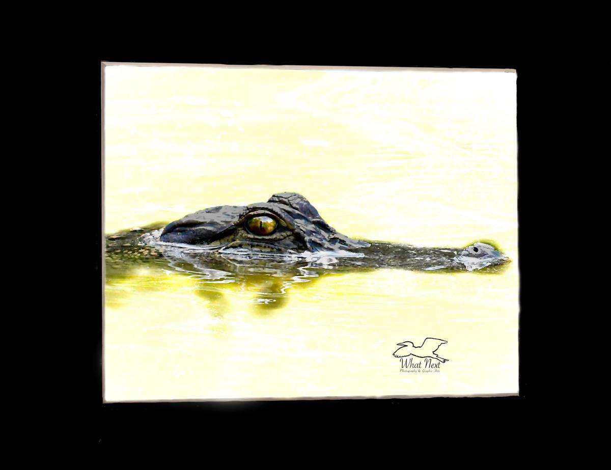 Lurking in the Depths  5x7 Print picture