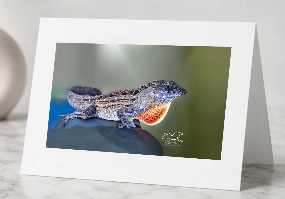 Ornate Patterns   Pack of 5 Greeting Cards picture