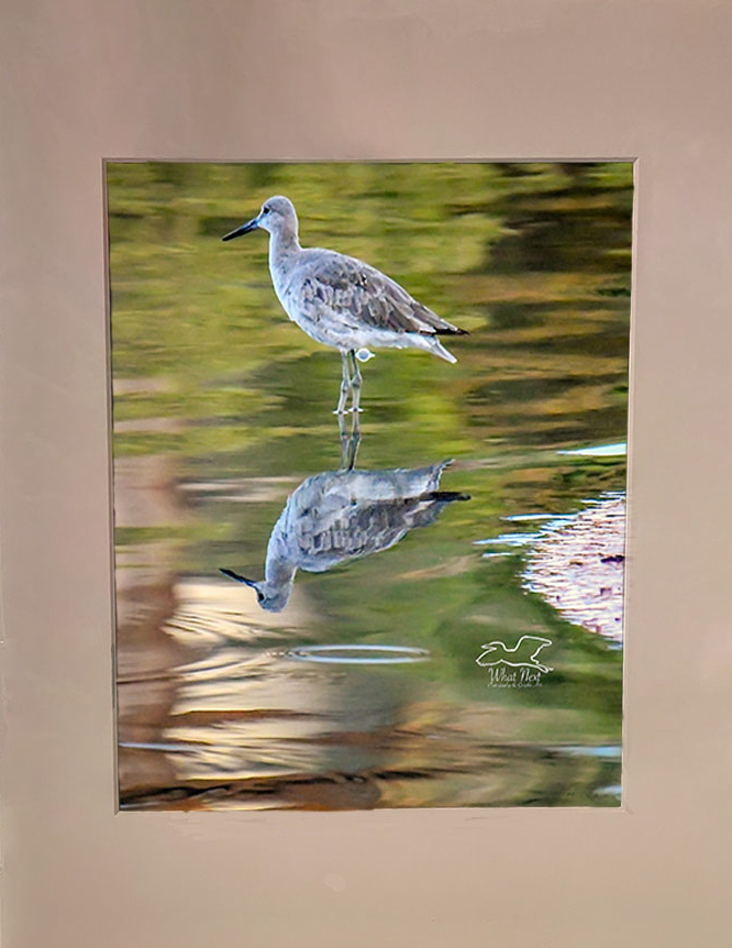 Me and My Reflection   8x10 Print picture
