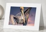 Pelican Clown-Greeting Cards Pack of 5