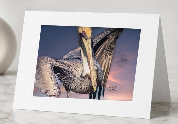 Pelican Clown-Greeting Cards Pack of 5