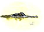 Lurking in the Depths  5x7 Print