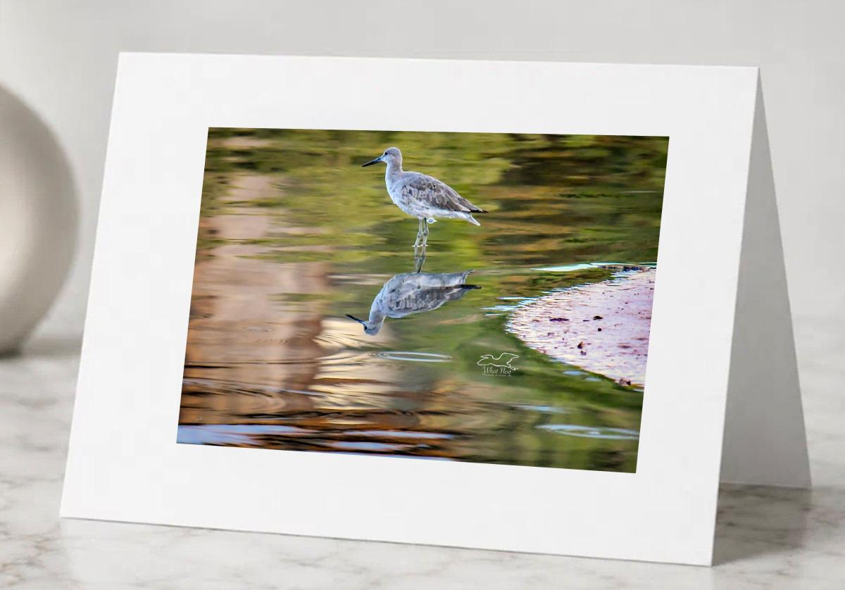 Me and My Reflection   Pack of 5 Greeting Cards picture