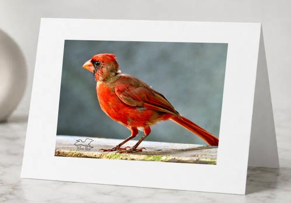 Almost Grown Up - Greeting Cards Pack of 5