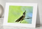 Prime of Life -Greeting Cards 5 Pack
