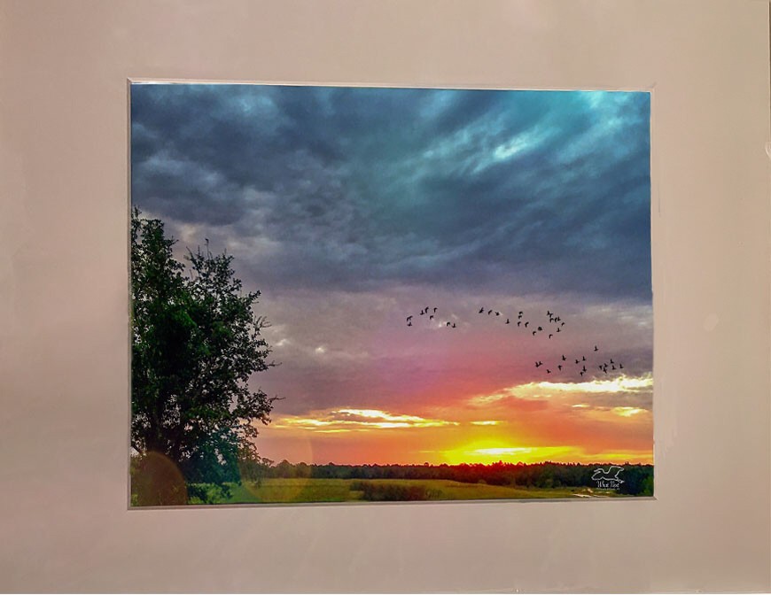Dawn Migration   8x10 Print picture