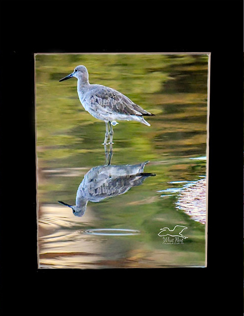 Me and My Reflection   5x7 Print picture
