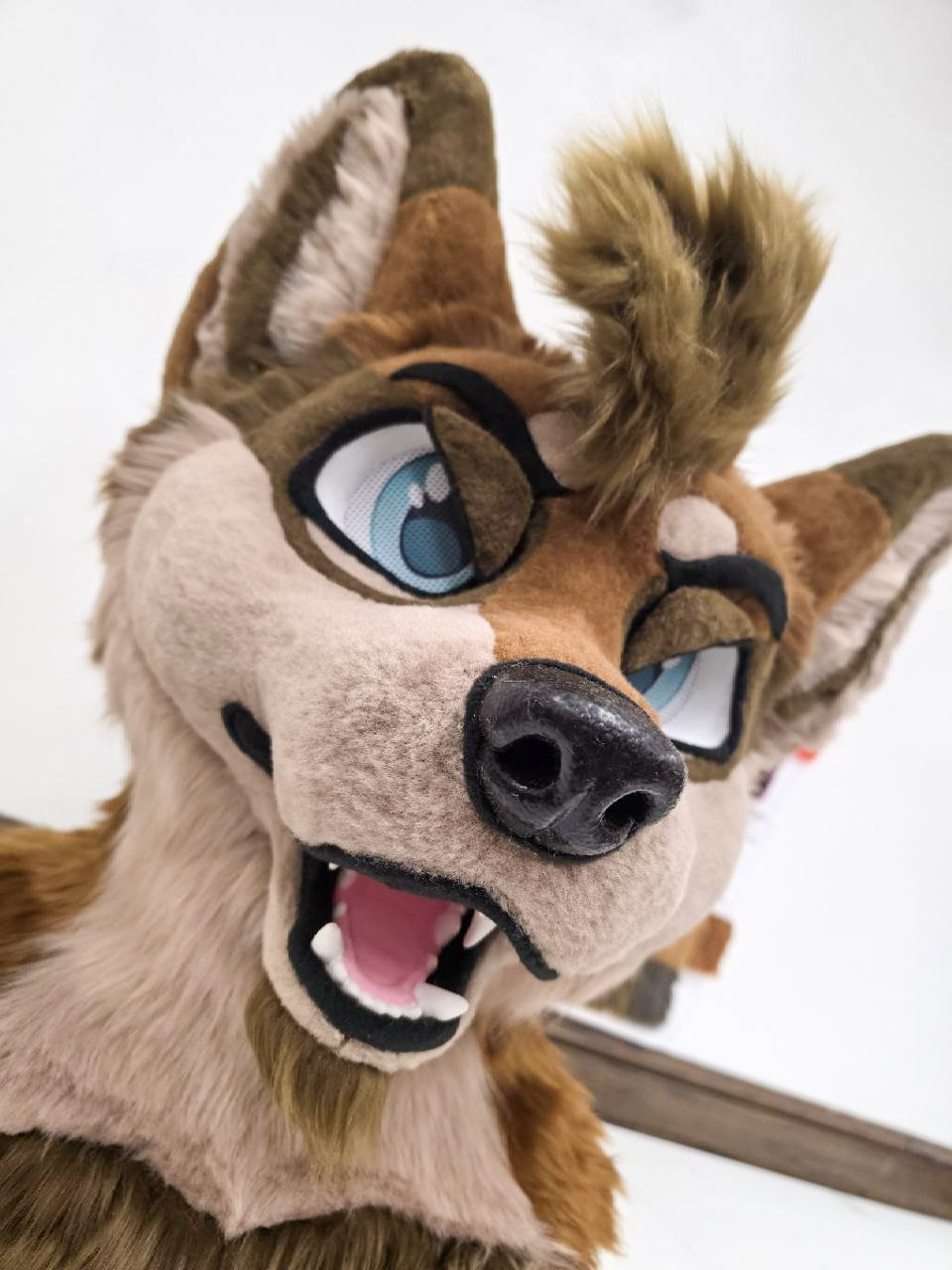 Oliver User Profile