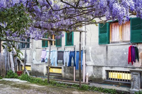 Wisteria Scented Laundry - 13 X 19 archival paper