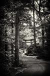 Japanese Garden Entry, BBG - 8 1/2 X 11 on archival paper