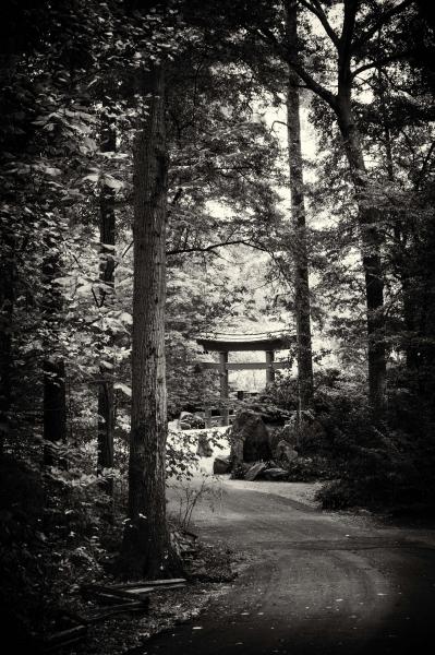 Japanese Garden Entry, BBG - 8 1/2 X 11 on archival paper picture