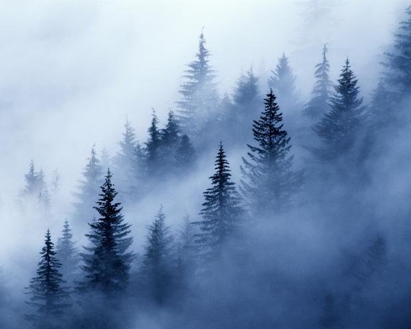 "Valley Fog", 18"x24" framed photograph