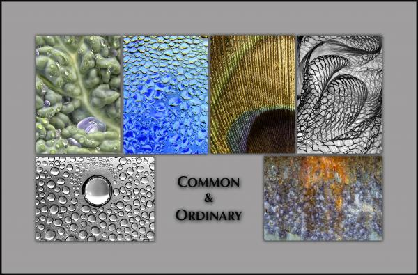 NOTECARDS: "Common & Ordinary"- boxed set of 6 different cards, each 5"x7"