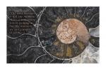 POSTER: "Black Ammonite" (Large)