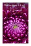 POSTER: "Dahlia Blossom" MW-2960 (Large)