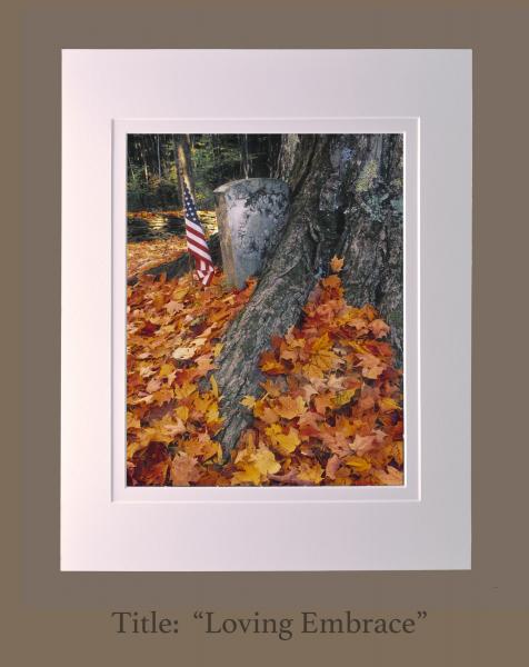 11" x 14" photographs matted to 16" x 20" frame size (Gallery 2) picture