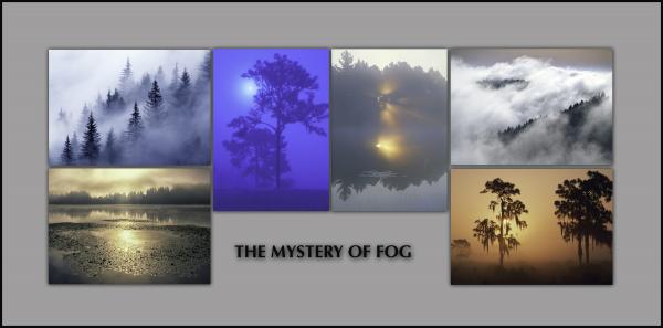 NOTECARDS: "Mystery of Fog" - boxed set of 6 different cards, each 5"x7" picture