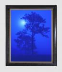 "Blue Moon", 18"x24" framed photograph