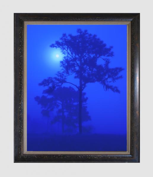 "Blue Moon", 18"x24" framed photograph picture