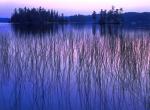 "Canadian Blues", 18"x24" gallery-wrap canvas