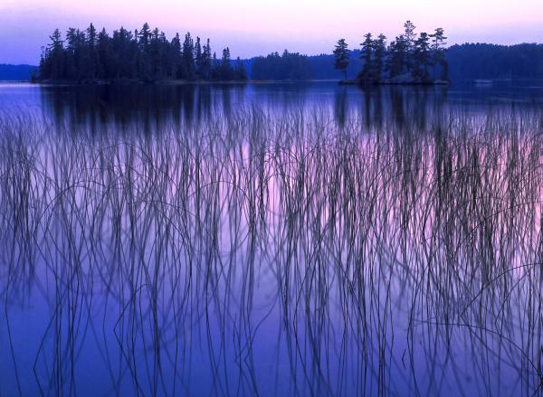 "Canadian Blues", 18"x24" gallery-wrap canvas picture