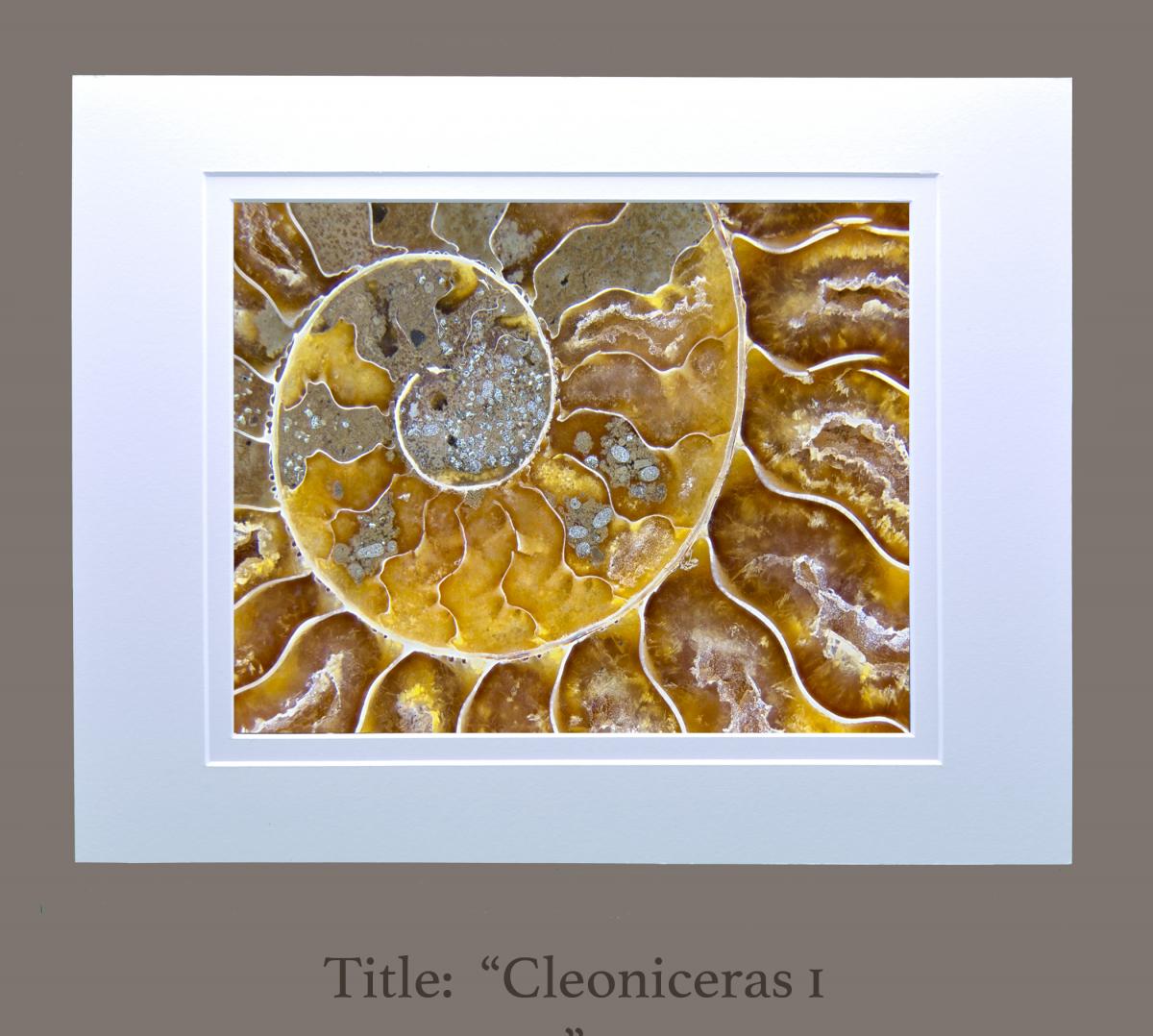 8" x 10" matted photographs, 11" x 14" frame (Gallery 1) size picture