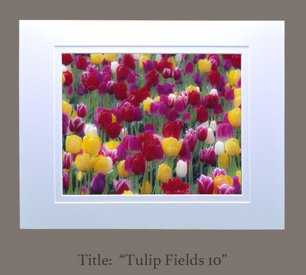 8" x 10" matted photographs, 11" x 14" frame size (Gallery 3) picture