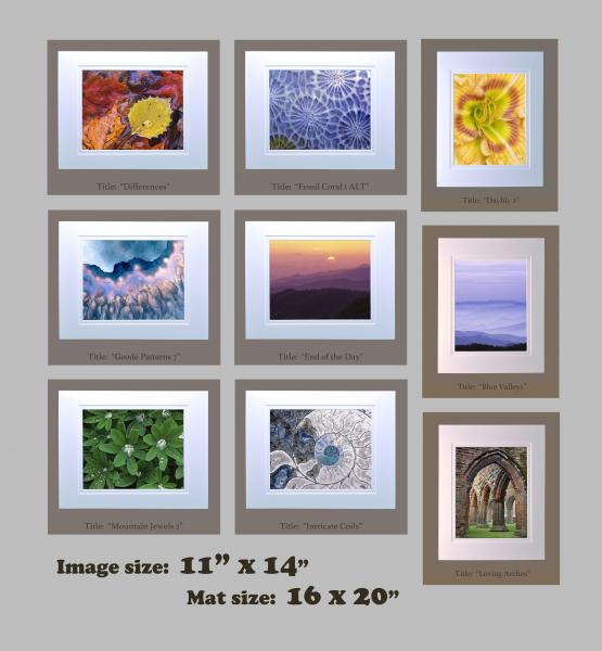 11" x 14" photographs matted to 16" x 20" frame size (Gallery 2)