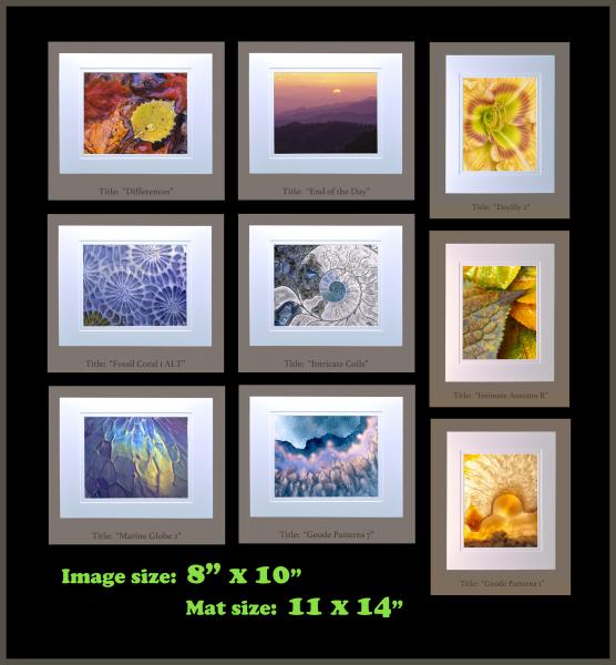 8" x 10" matted photographs, 11" x 14" frame size (Gallery 2)