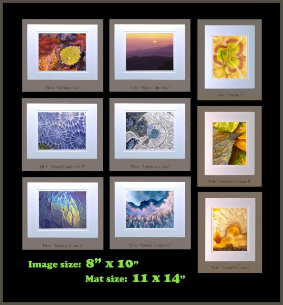 8" x 10" matted photographs, 11" x 14" frame size (Gallery 2) picture