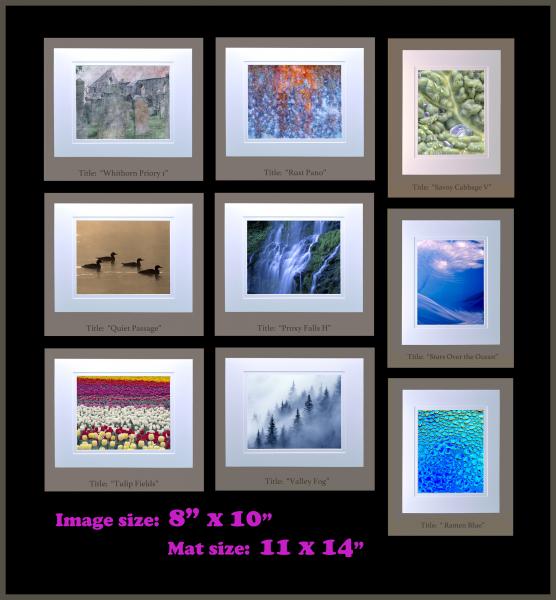 8" x 10" matted photographs, 11" x 14" frame size (Gallery 3)