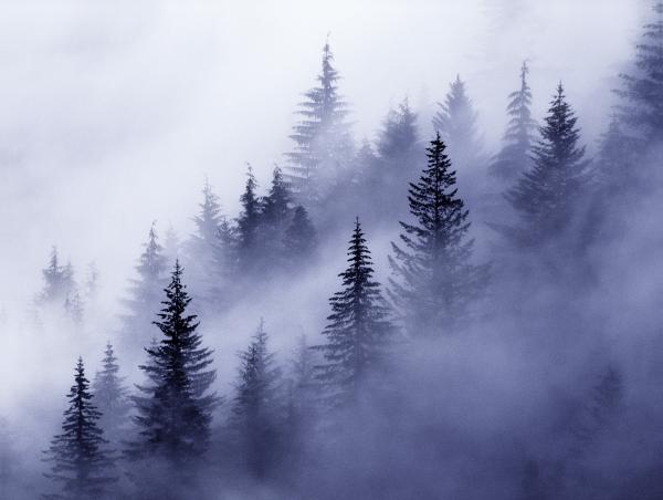 "Valley Fog", 24"x30" framed photograph picture