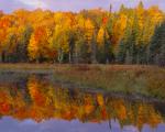 "Beaver Pond Sunset", 18"x24" gallery-wrap canvas