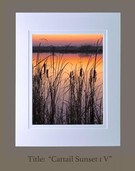 8" x 10" matted photographs, 11" x 14" frame (Gallery 1) size picture