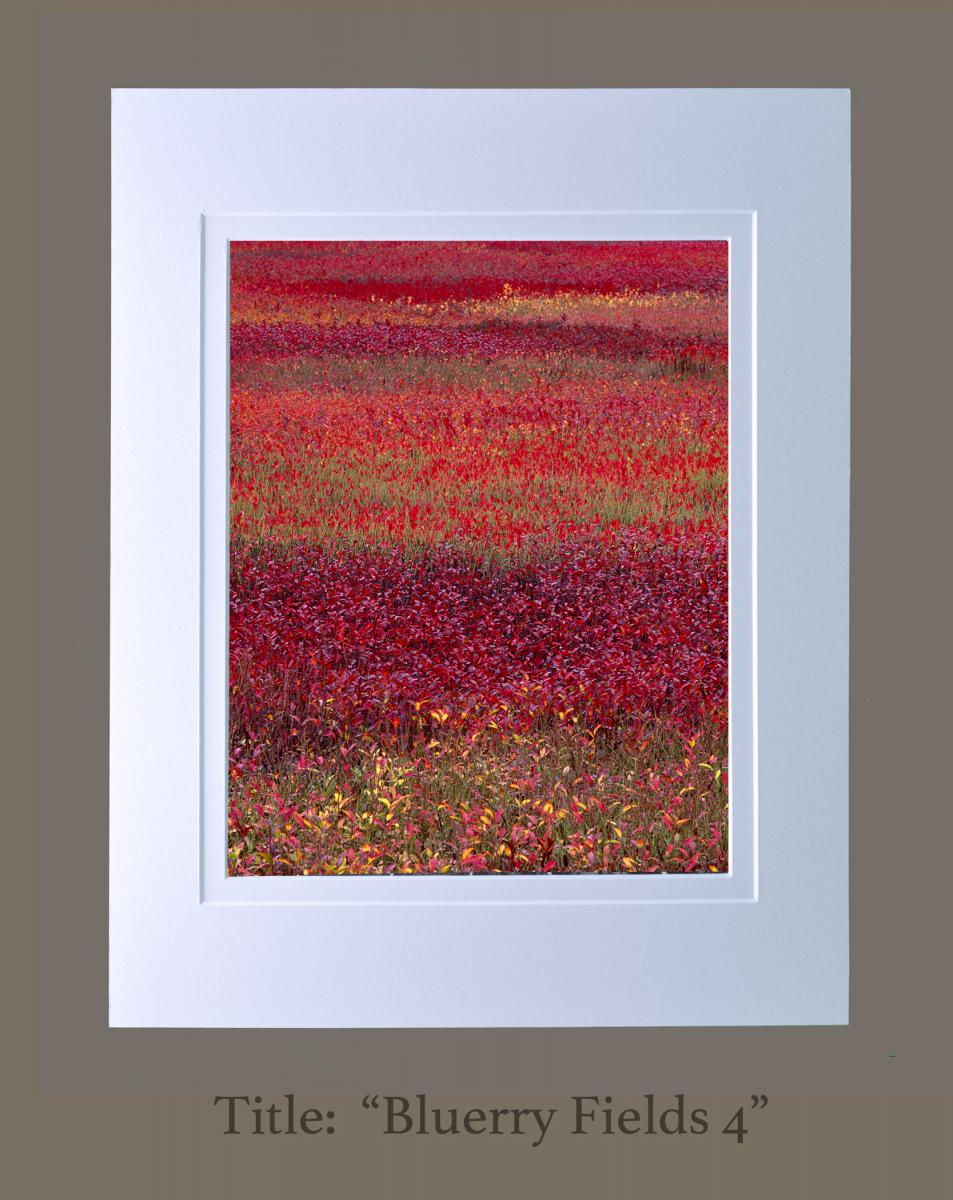 11" x 14" photographs matted to 16" x 20" frame size (Gallery 1) picture