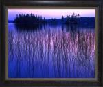 "Canadian Blues" 18"x24" Framed photograph