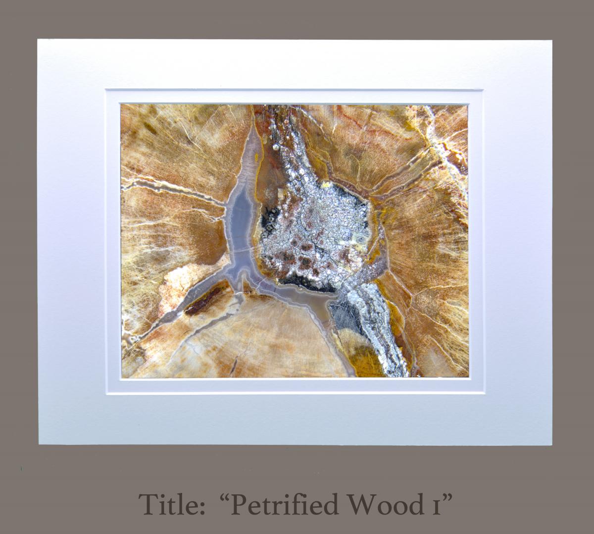 11" x 14" photographs matted to 16" x 20" frame size (Gallery 3) picture