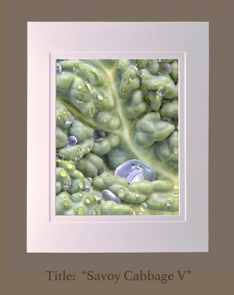 8" x 10" matted photographs, 11" x 14" frame size (Gallery 3) picture