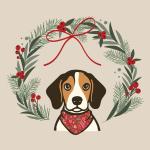 Daisy Jayne&rsquo;s Stitchery