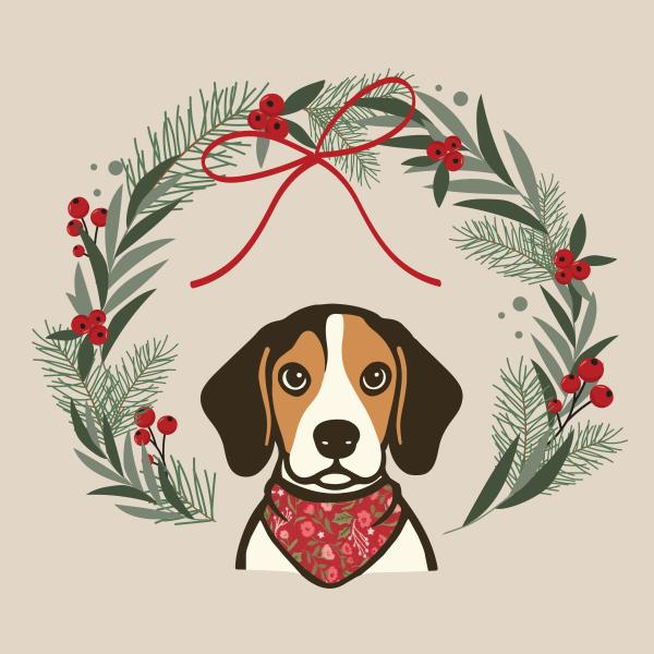 Daisy Jayne&rsquo;s Stitchery