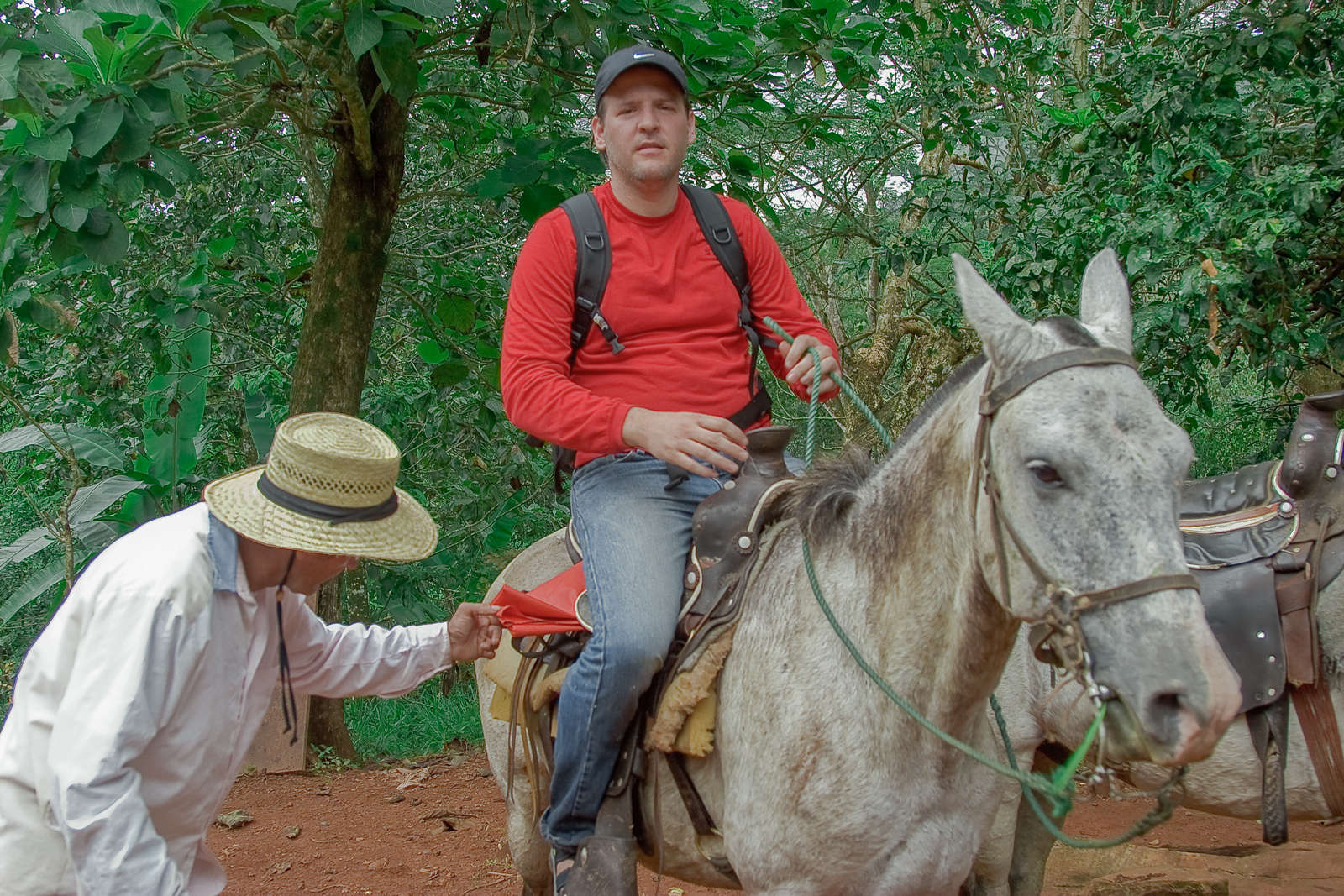 Steven Llorca User Profile