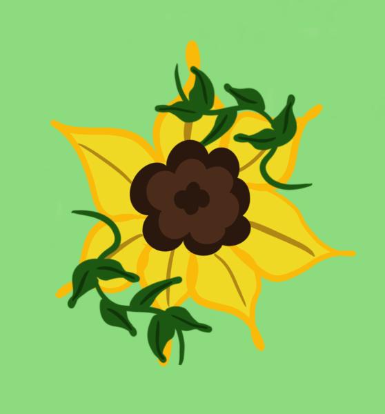 SunflowerBeanCo.