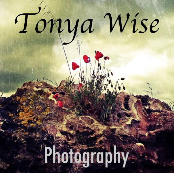 Tonya Wise Photography & Art