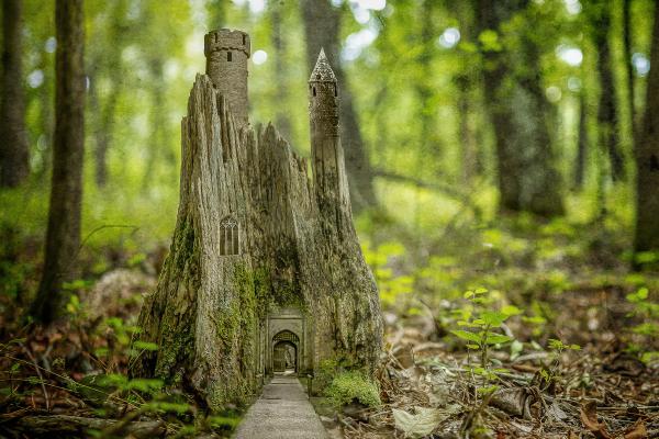 Tiny Kingdom, Stump Castle picture