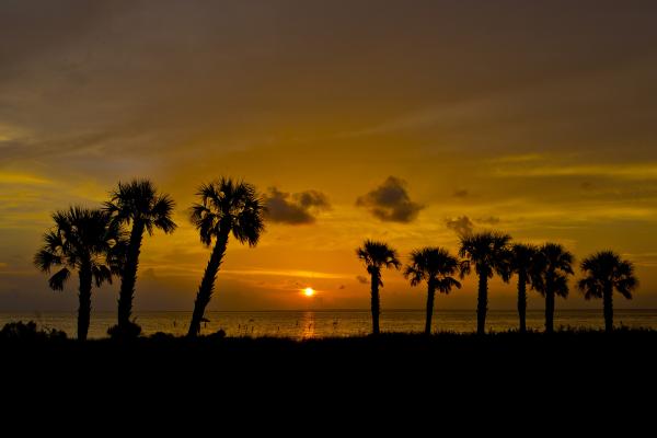 St. George Island Sunset picture