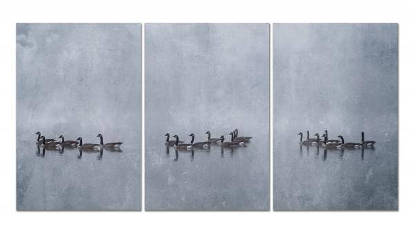 Geese in the Fog, Triptych