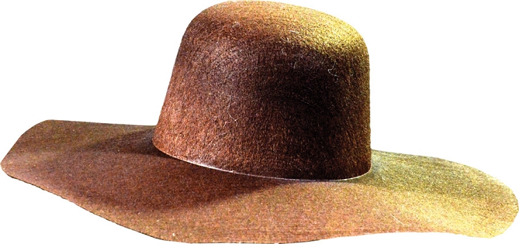 Jeepers Creepers Hat Brim 4 7/8 in. One Size Fits Most