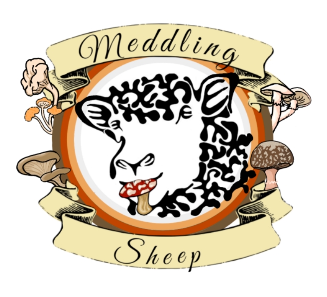 Meddling Sheep LLC