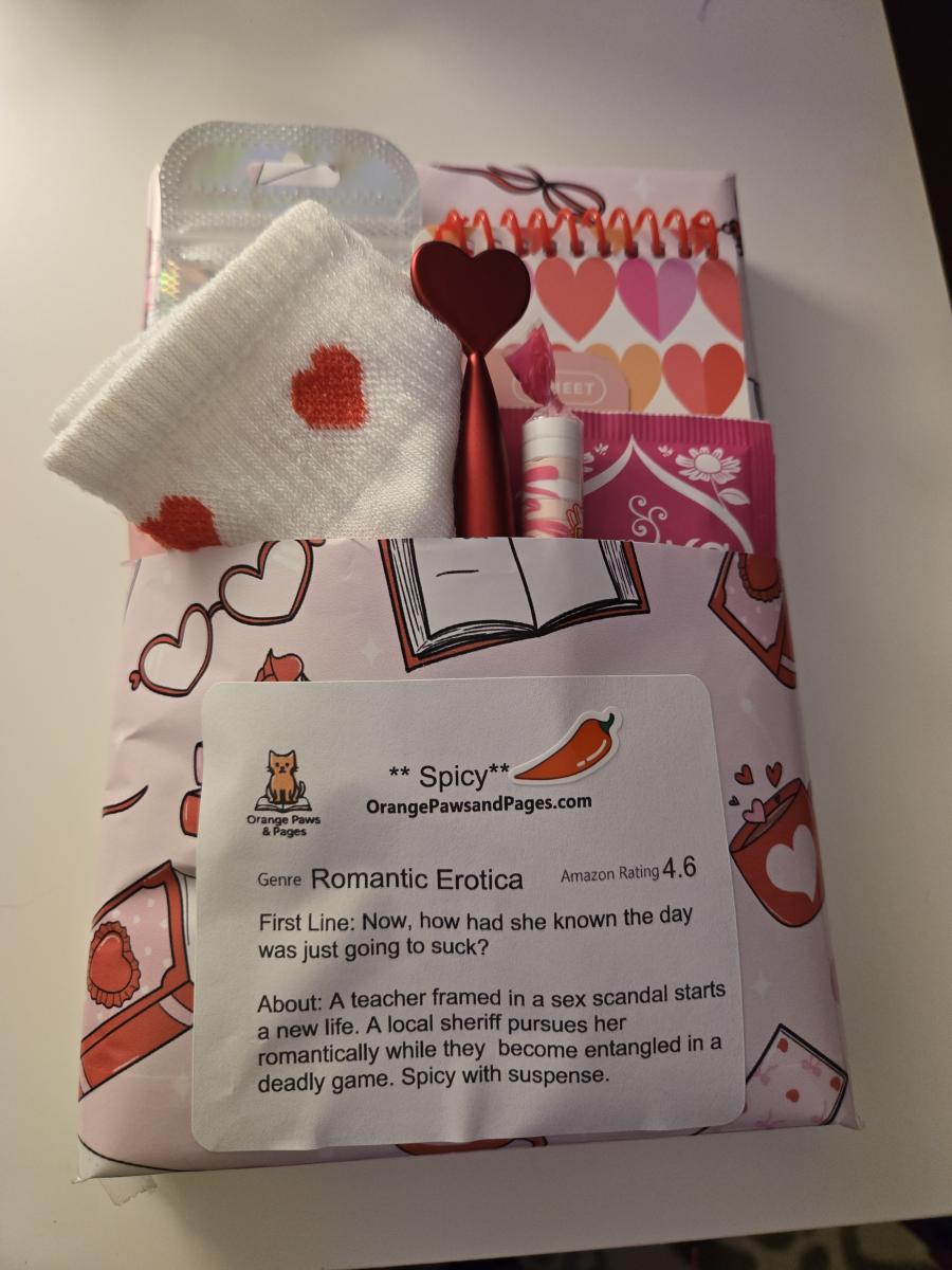 Blind Date with a Book picture