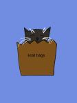 kcat bags